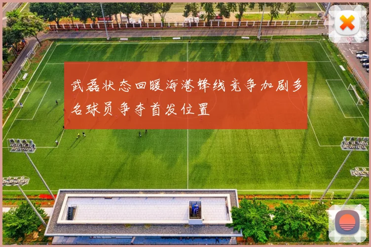 武磊状态回暖海港锋线竞争加剧多名球员争夺首发位置