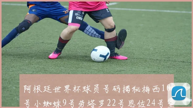阿根廷世界杯球员号码揭秘梅西10号小蜘蛛9号劳塔罗22号恩佐24号全解析
